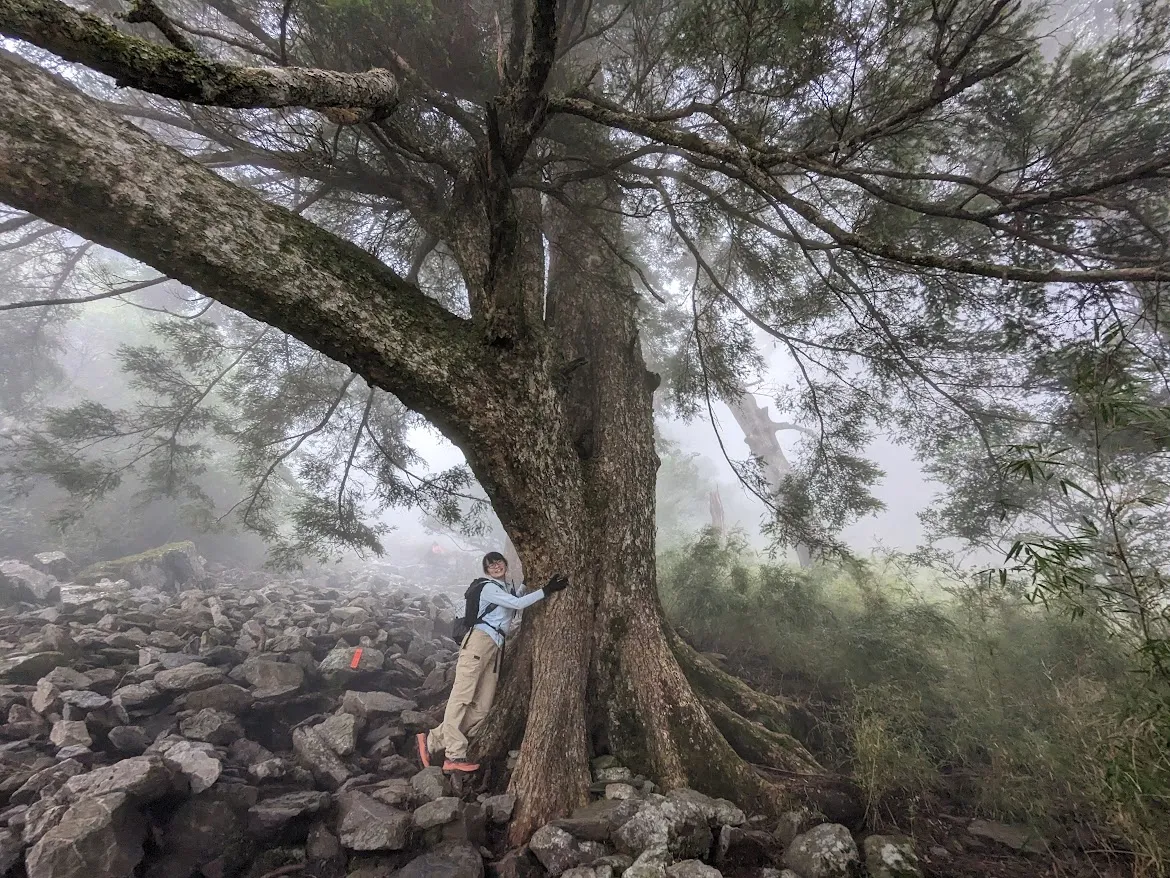 登山／玉山前峰一日遊，巨木穿插在陡峭的亂石區