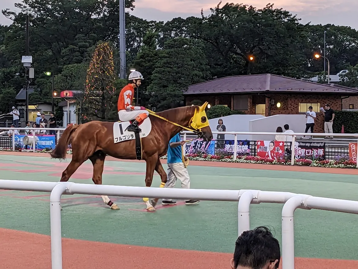 旅遊／日本賽馬場初體驗，男女老少都狂熱的朝選手叫喊（下）